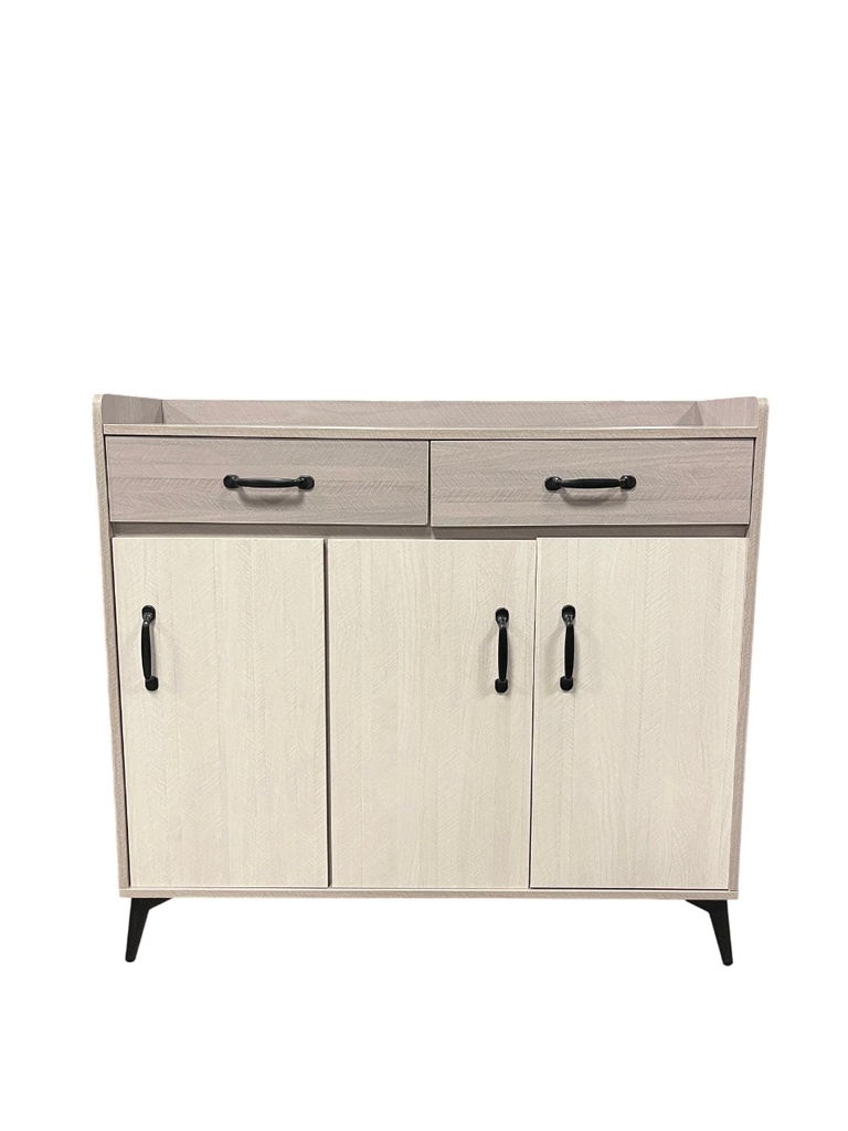 Cabinet 1011
