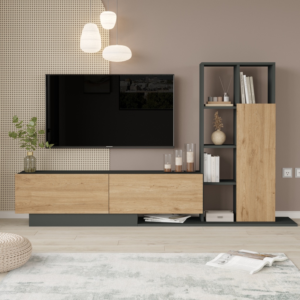 TV Unit [BE1-SA]