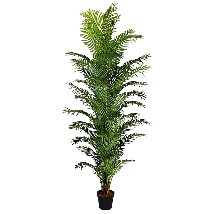 Areca Palm Y8388-44-44KS