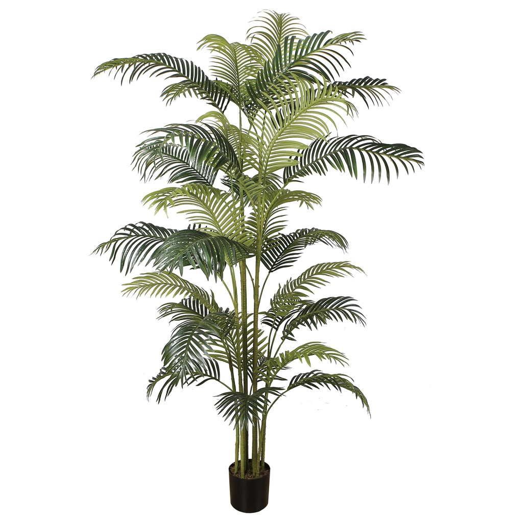 Areca Palm Tree Y8388-30-10PS