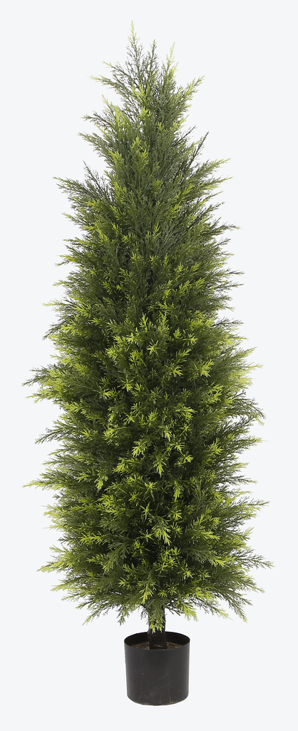 Christmas Tree SD-SB-L