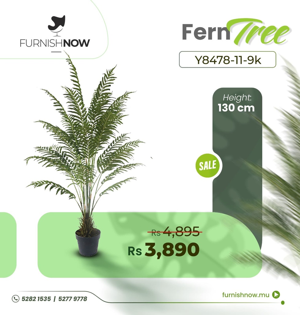 Fern Tree Y8478-11-9K