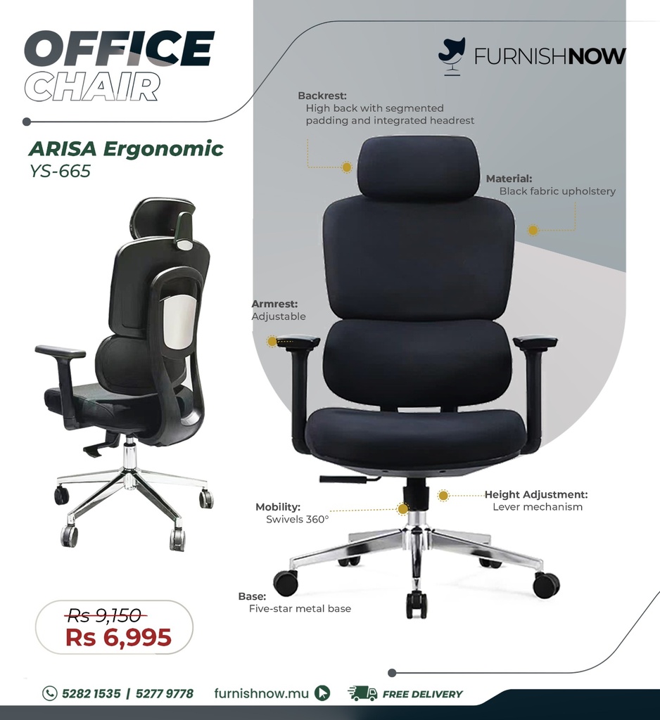 Arisa Ergonomic Office Chair (Ys-665)