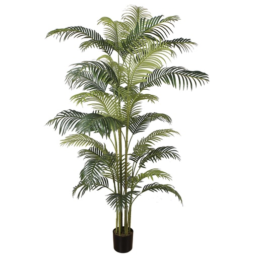 Areca Palm Tree Y8388-30-10PS