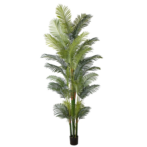 Areca Palm Y8388-45-30K-8PS