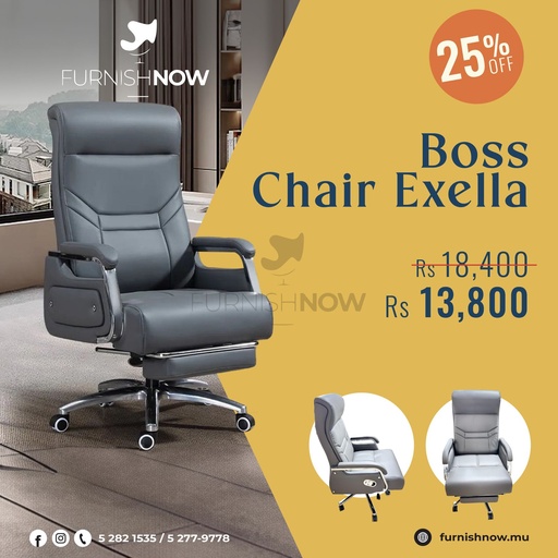 Boss Chair Exella