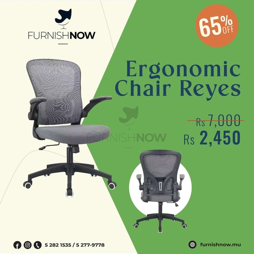 Ergonomic Chair Reyes