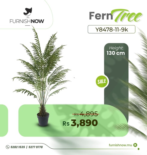 Fern Tree Y8478-11-9K