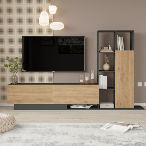 TV Unit [BE1-SA]